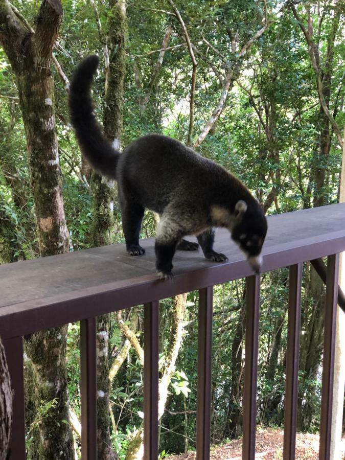 Cantos Del Bosque Monteverde Luaran gambar